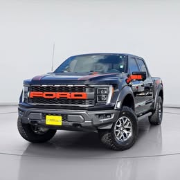 2022 Ford F-150 Raptor \ud83e\udd18 29303 Miles