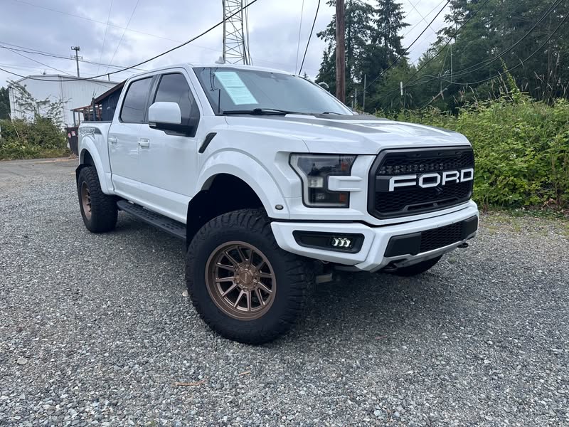 2019 Ford f-150 raptor twin turbo