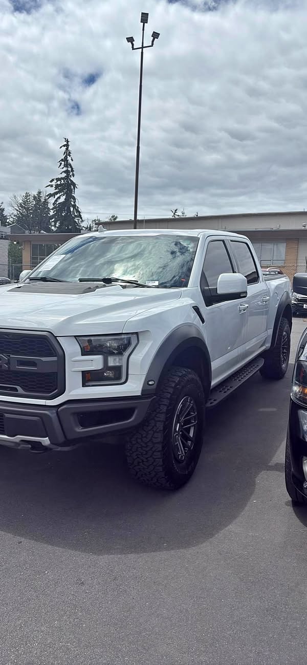 2019 Ford F-150 Raptor  - Raptor