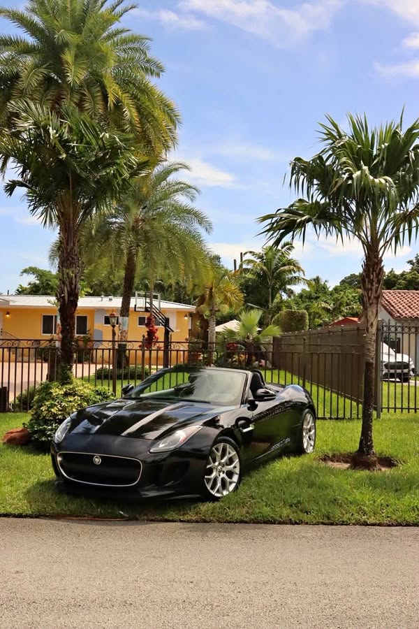 2014 Jaguar F-TYPE - 3.0 380 HP Convertible 2D
