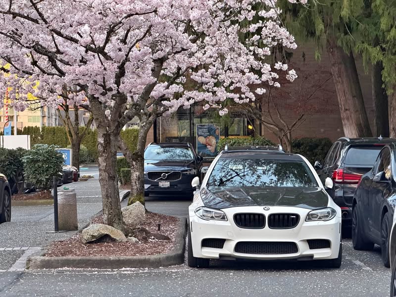 2014 BMW M5 - Sedan 4D