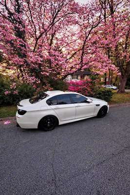 2014 BMW M5 - Competition Sedan 4D