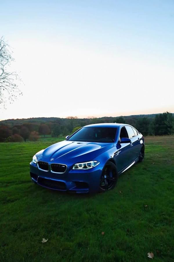 2016 BMW M5 - Competition Sedan 4D