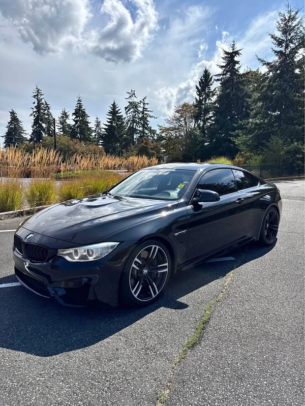 2015 BMW M4 - Coupe 2D