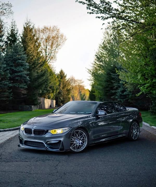 2015 BMW M4 - Convertible 2D