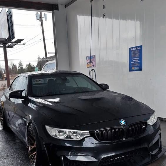 2015 2015 BMW M4 - Convertible 2D