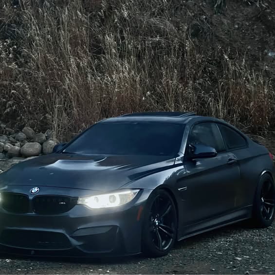 2015 BMW M4 - CSL Coupe 2D