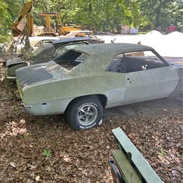 1969 Pontiac Firebird