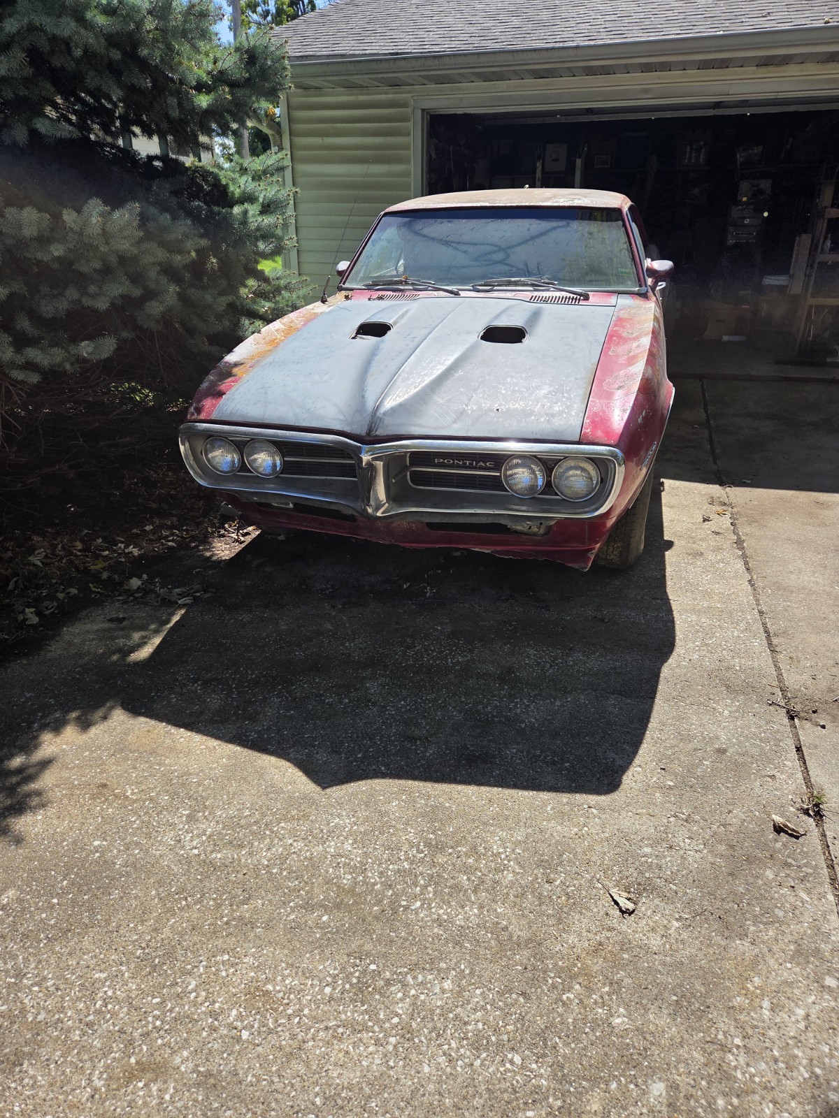 1967 Pontiac Firebird