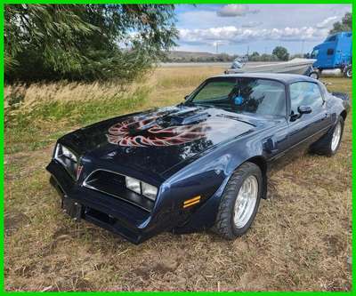 1977 Pontiac Firebird Trans-Am Stock Number 444200