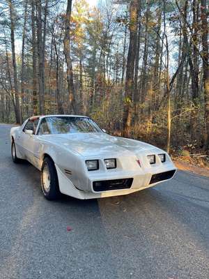 1980 Pontiac Firebird - Trans Am Coupe 2D