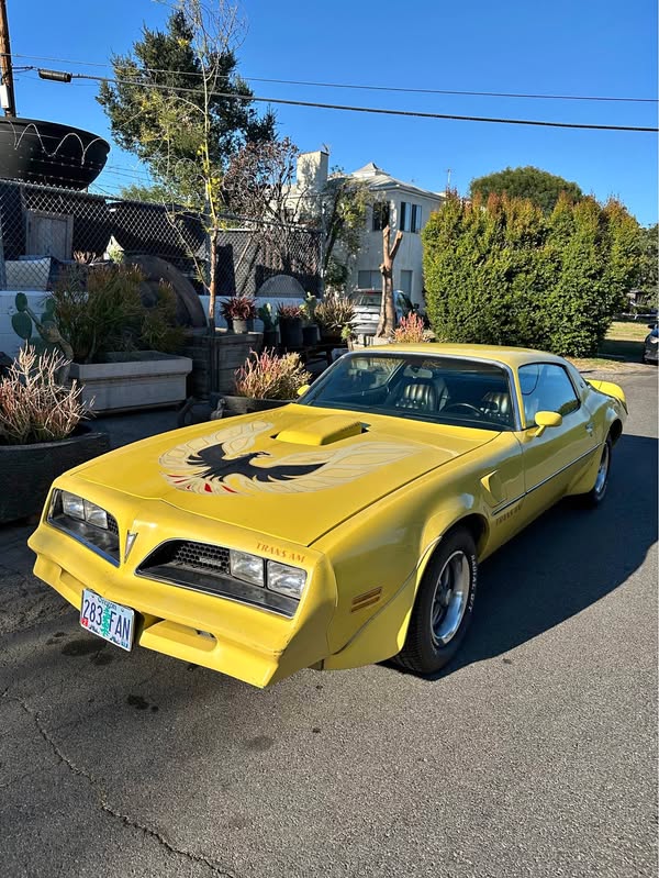 1977 Pontiac Firebird - Trans Am