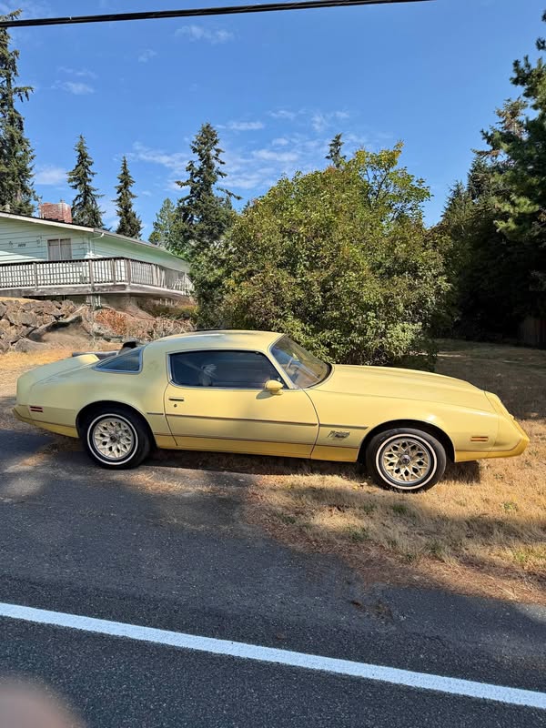 1980 Pontiac firebird - yellowbird