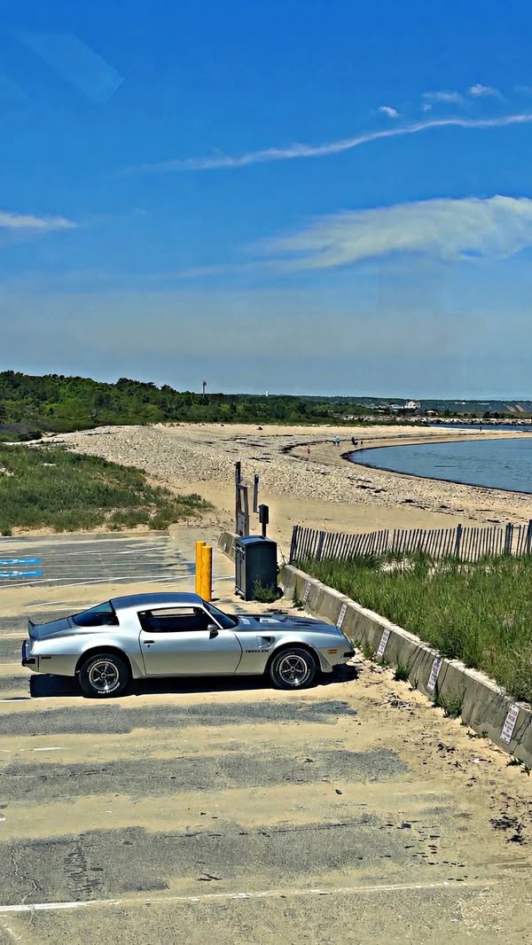 1975 Pontiac Firebird - Trans Am Coupe 2D