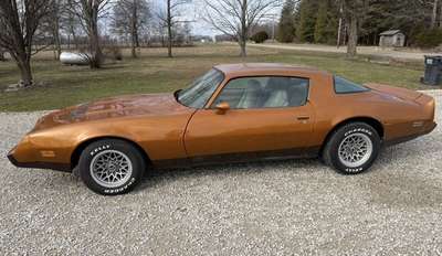 1981 Pontiac Firebird FORMULA