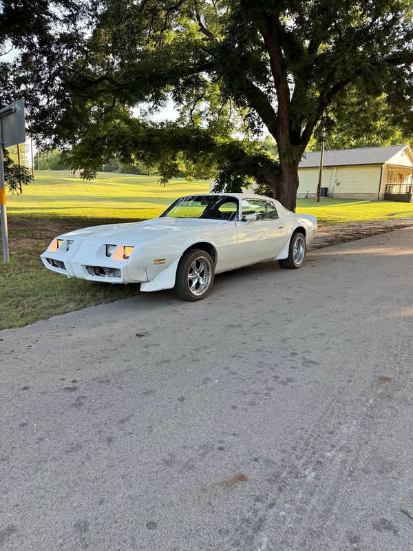 1981 Pontiac Firebird - Coupe 2D