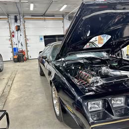 1981 Pontiac Firebird - Trans Am Coupe 2D