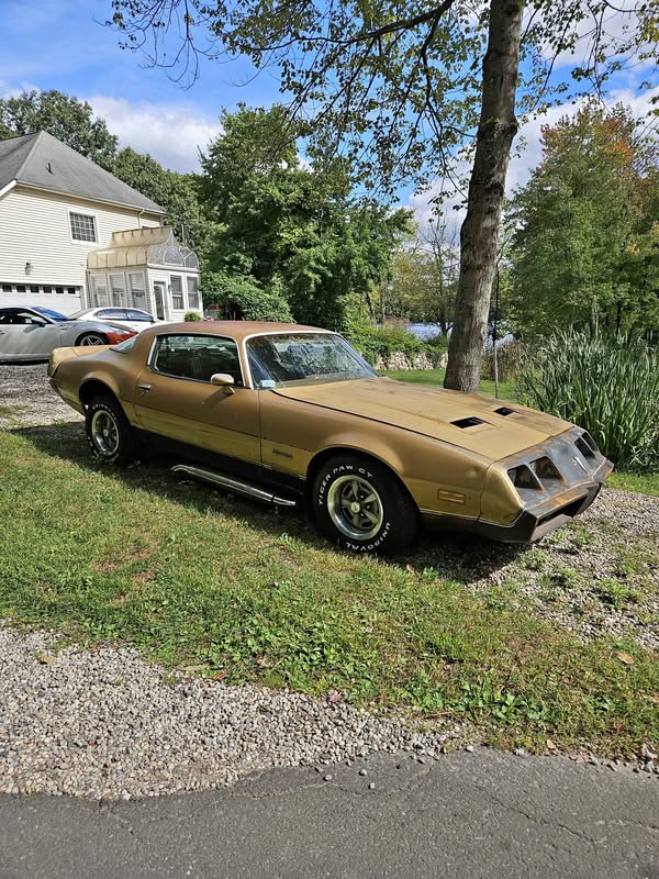 1979 Pontiac Firebird - Coupe 2D