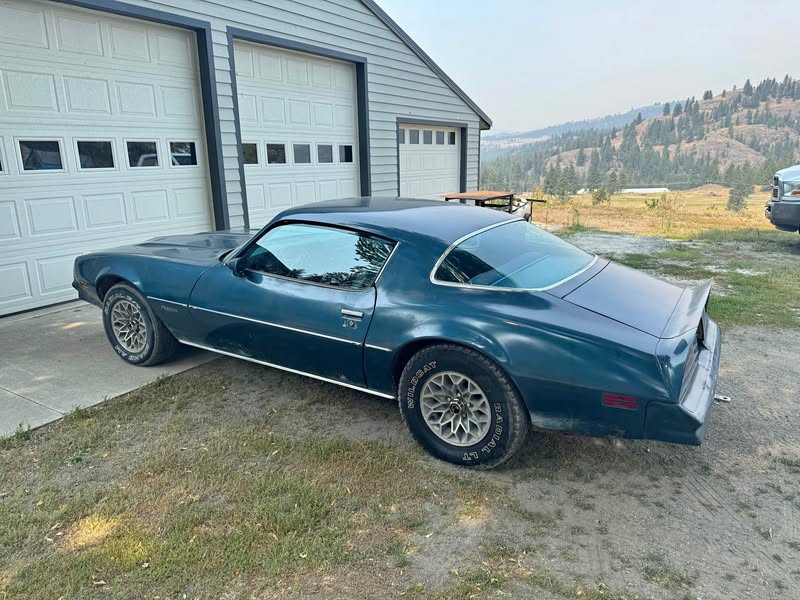 1977 Pontiac Firebird - Formula