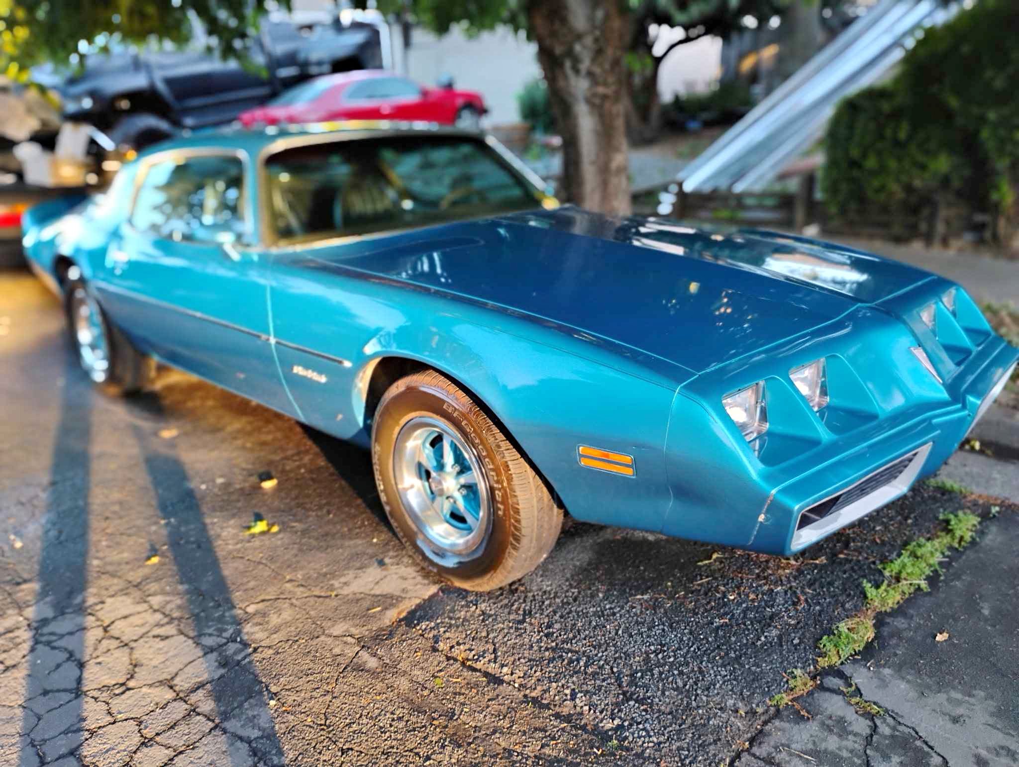 1979 Pontiac Firebird - Coupe 2D