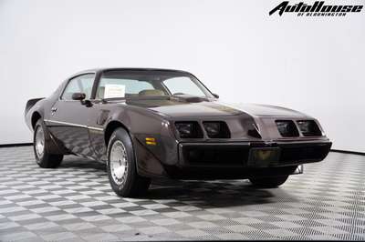 1981 Pontiac Firebird TRANS AM