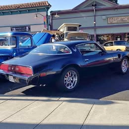 1979 Pontiac Firebird - Coupe 2D