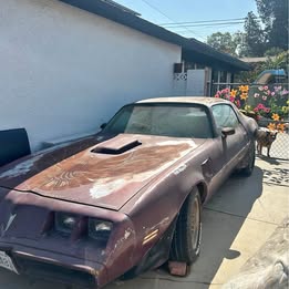 1979 Pontiac Firebird - Coupe 2D