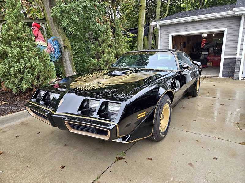1981 Pontiac Firebird - Trans Am Special Edition