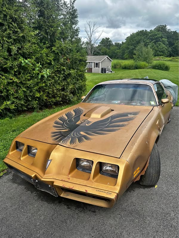 1979 Pontiac Firebird - Trans Am Convertible 2D