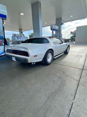 1980 Pontiac Firebird - Trans Am Coupe 2D