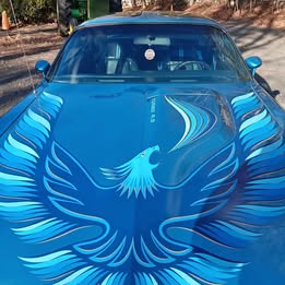 1980 Pontiac Firebird - Trans Am Coupe 2D