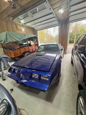 1980 Pontiac Firebird - Coupe 2D