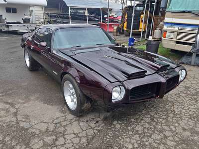 1973 Pontiac Firebird - Trans Am Coupe 2D