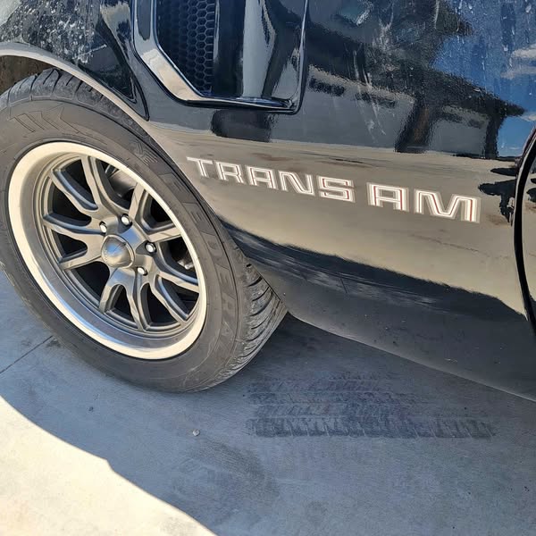 1979 Pontiac Trans Am - Firebird