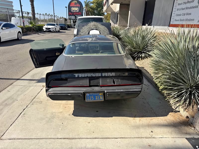 1979 Pontiac Firebird - Coupe 2D