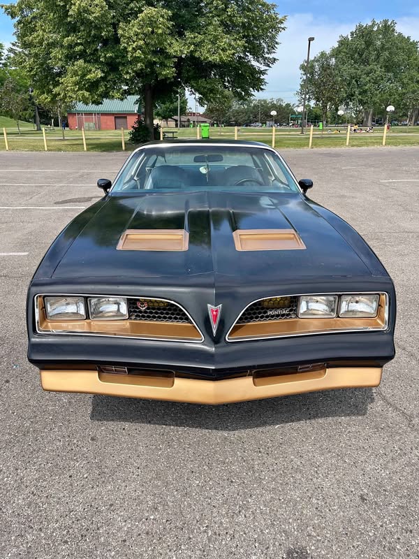 1977 Pontiac Firebird - Formula Coupe 2D