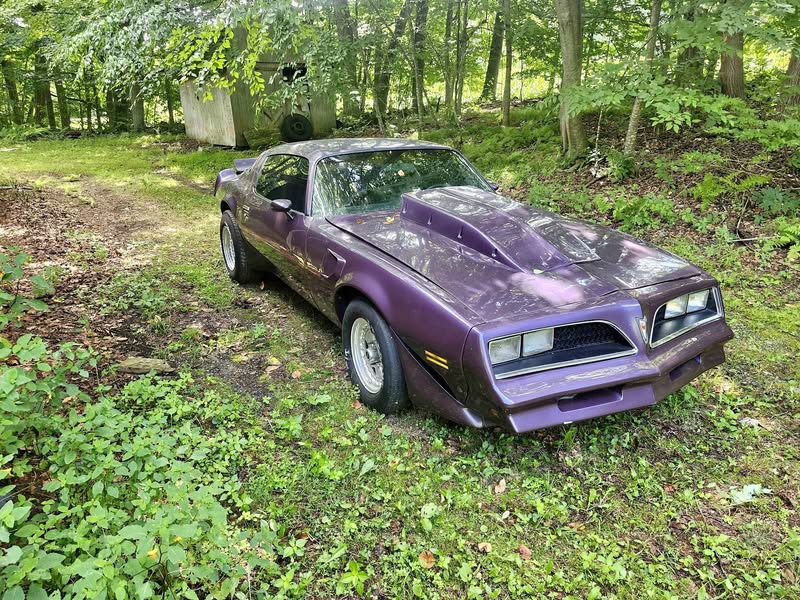 1979 Pontiac Firebird - Formula Coupe 2D