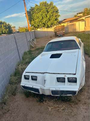 1981 Pontiac Trans Am - Firebird