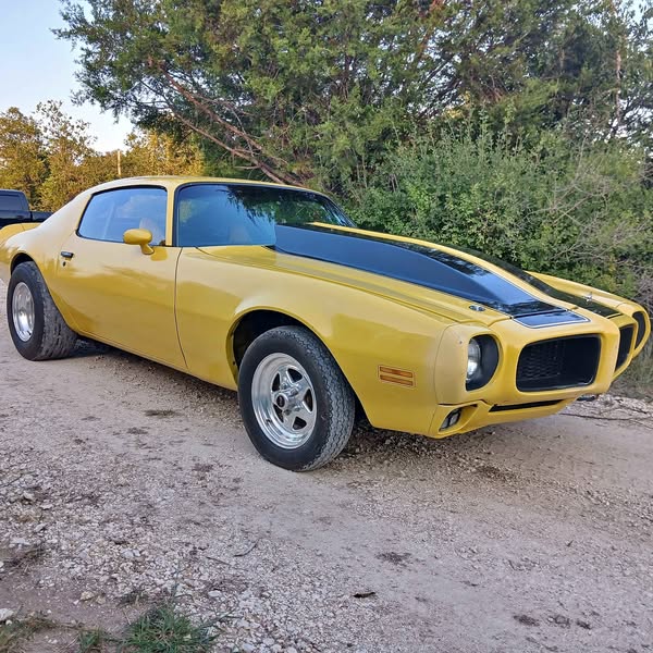 1973 Pontiac Firebird - Coupe 2D