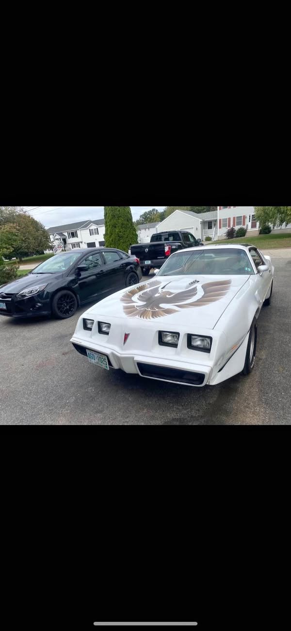 1981 Pontiac Firebird - Trans Am Coupe 2D
