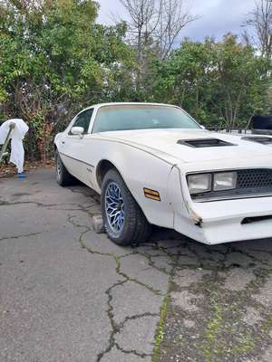 1977 Pontiac Firebird - Coupe 2D