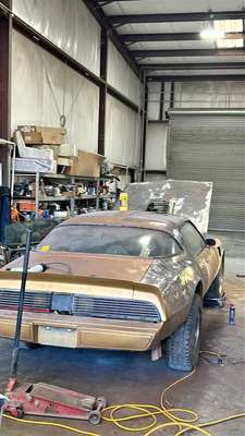 1979 Pontiac Firebird - Trans Am Convertible 2D