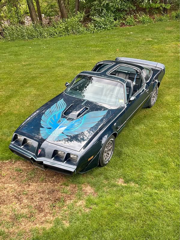 1981 Pontiac Firebird - Trans Am Coupe 2D