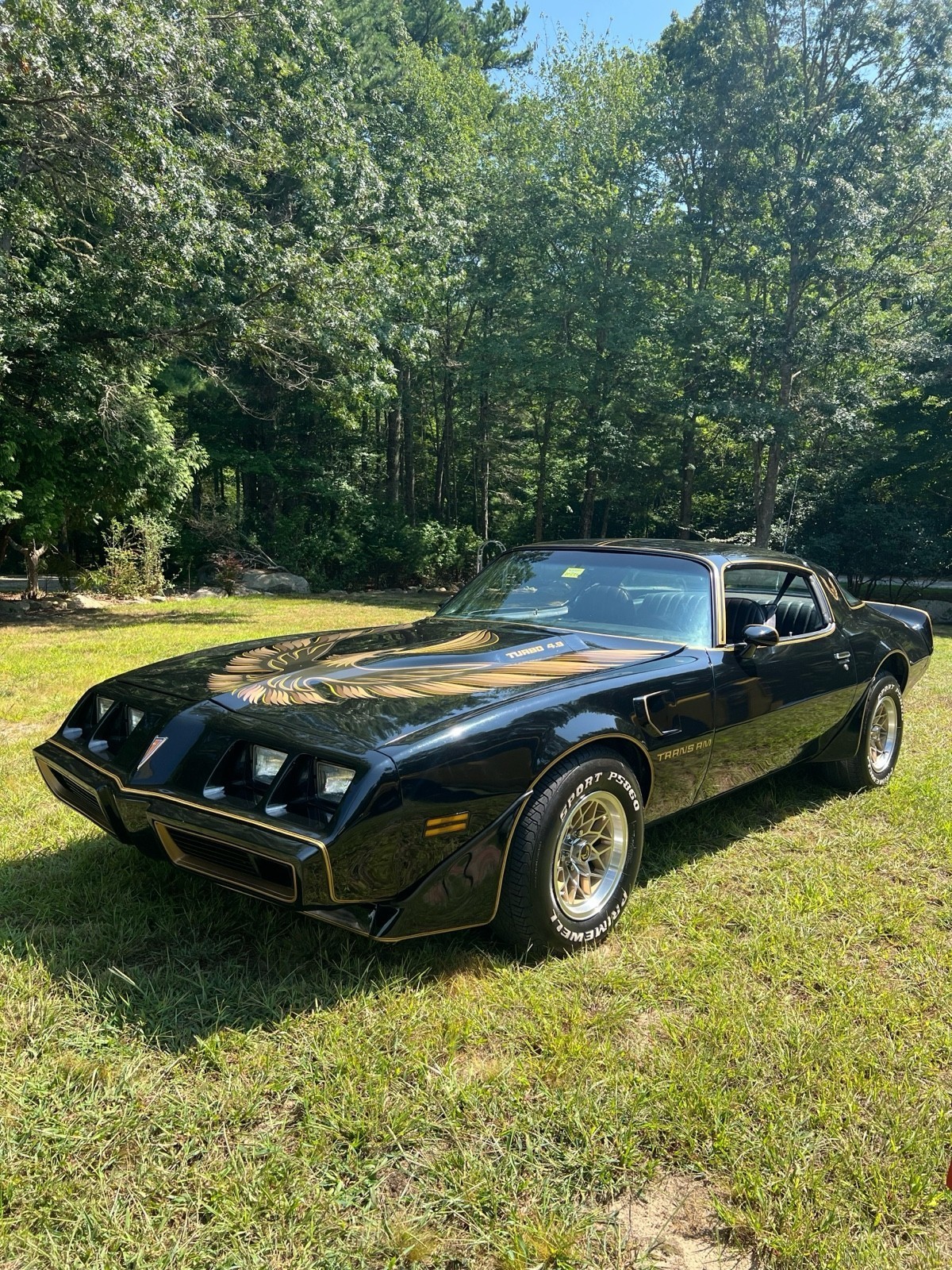 1981 Pontiac Firebird TRANS AM