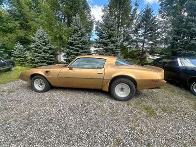 1981 Pontiac Firebird - Coupe 2D