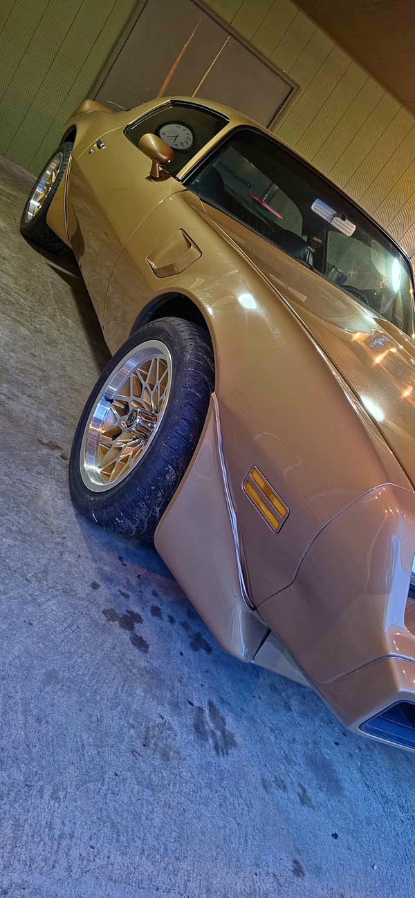 1981 Pontiac Firebird - Trans Am Coupe 2D