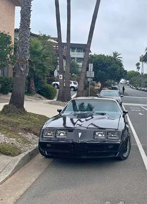 1981 Pontiac Firebird - Trans Am Coupe 2D