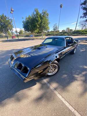 1979 Pontiac Trans Am - Firebird