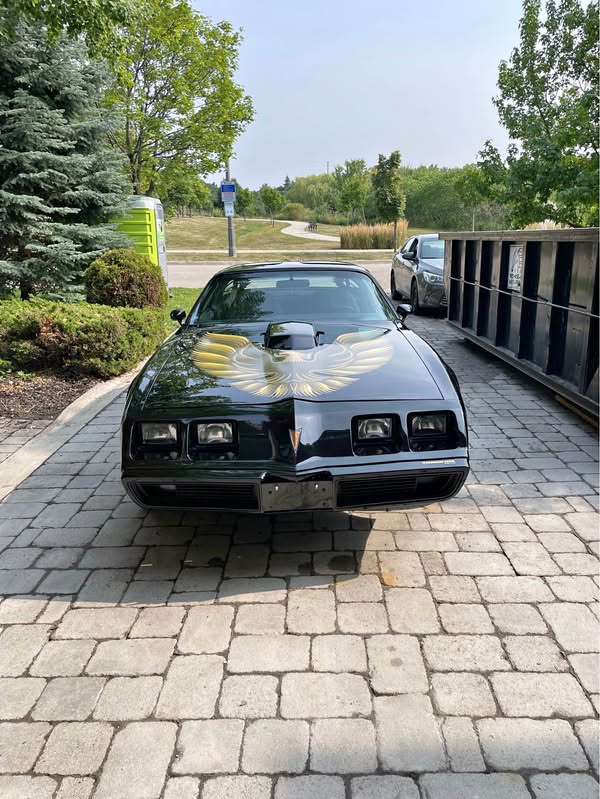 1979 Pontiac Firebird - Trans Am Coupe 2D