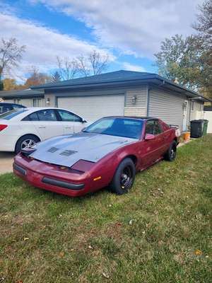 1991 Pontiac Firebird - Trans Am Hatchback 2D